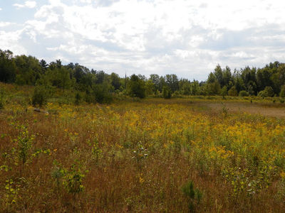 Golden Lake Speedway as it stood in 2011
Golden Lake Speedway as it stood in 2011

Photo Credit: Tyler Lambert
