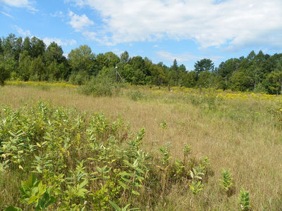 Golden Lake Speedway as it stood in 2011
Golden Lake Speedway as it stood in 2011

Photo Credit: Tyler Lambert
