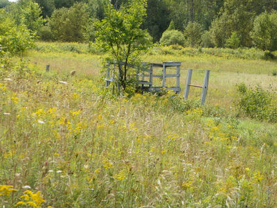Golden Lake Speedway as it stood in 2011
Golden Lake Speedway as it stood in 2011

Photo Credit: Tyler Lambert

