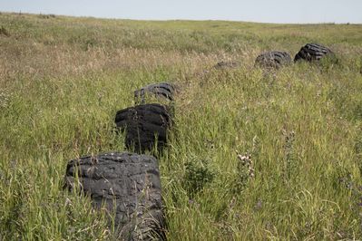 Stampede Speedway as it stands in the summer 2013
Stampede Speedway as it stands in the summer 2013

Photo Credit: Rusty Pothier
