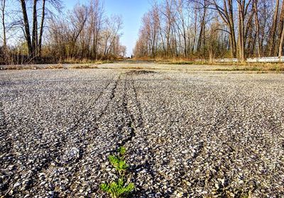 Windsor Dragway as it stands in 2012
Windsor Dragway as it stands in 2012

Photo Credit: Amanda Anger
Keywords: Windsor Dragway as it stands in 2012
