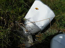 Filename=GHGoldenLakeSpeedway024.JPG
Filesize=126KiB
Dimensions=640x480
Date added=Mar 16, 2014 GHGoldenLakeSpeedway024.JPG